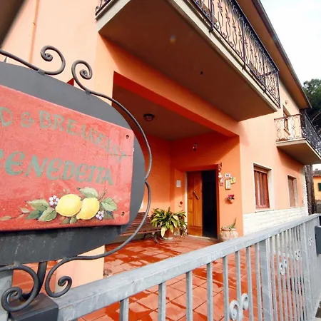 Benedetta Cantagrillo