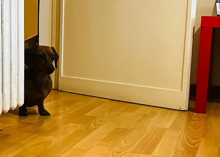 Benedetta Alojamento de Acomodação e Pequeno-almoço 3*