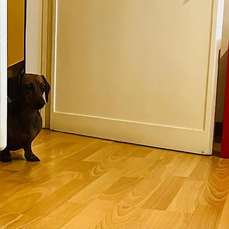 Benedetta Bed & Breakfast 3*