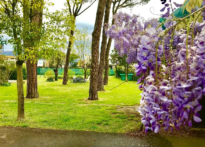 Benedetta Couette-café Cantagrillo