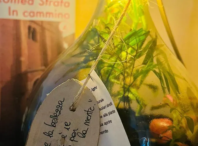 Benedetta Nocleg ze śniadaniem