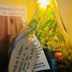 Benedetta B&B